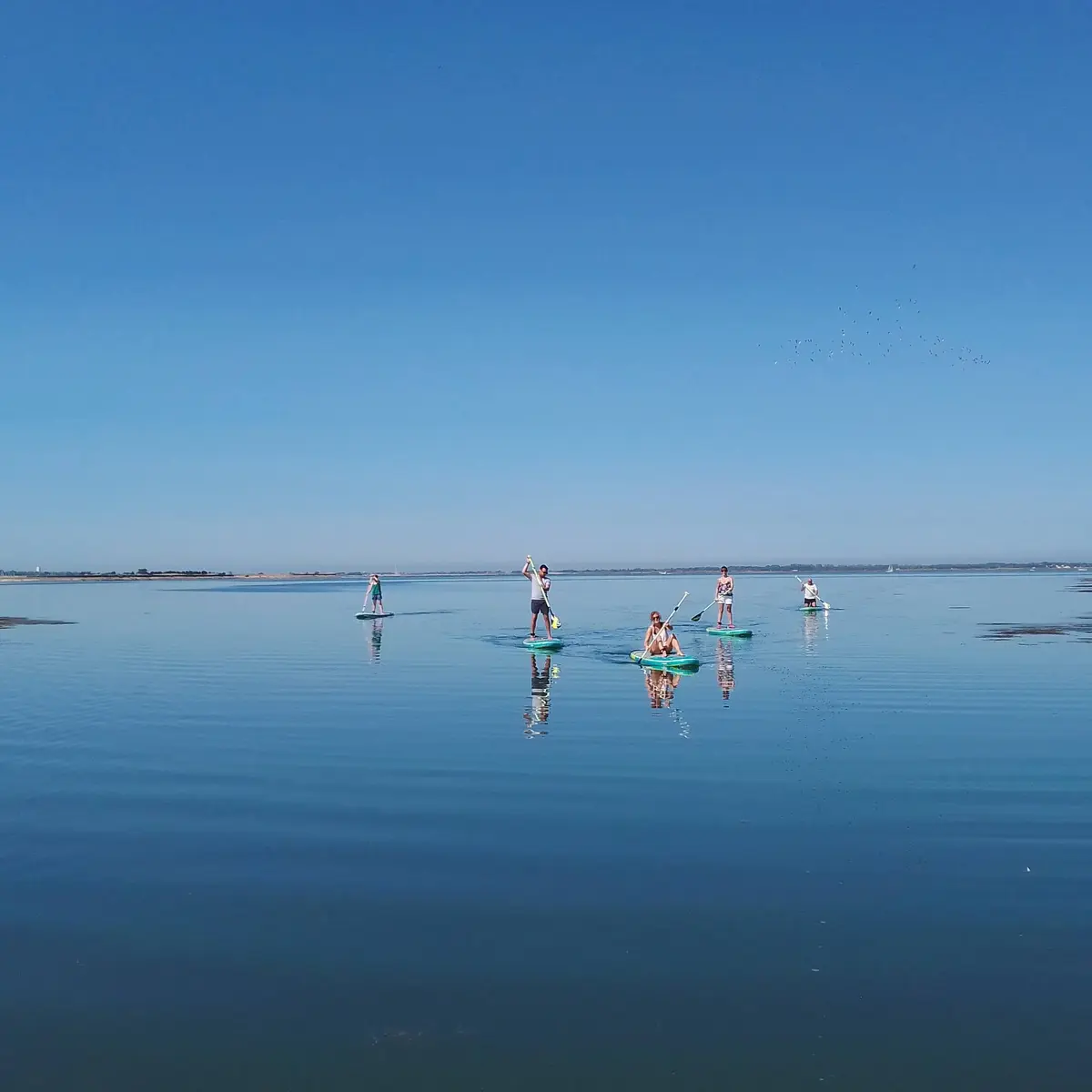 Excursión en paddle surf por el río Fier d'Ars