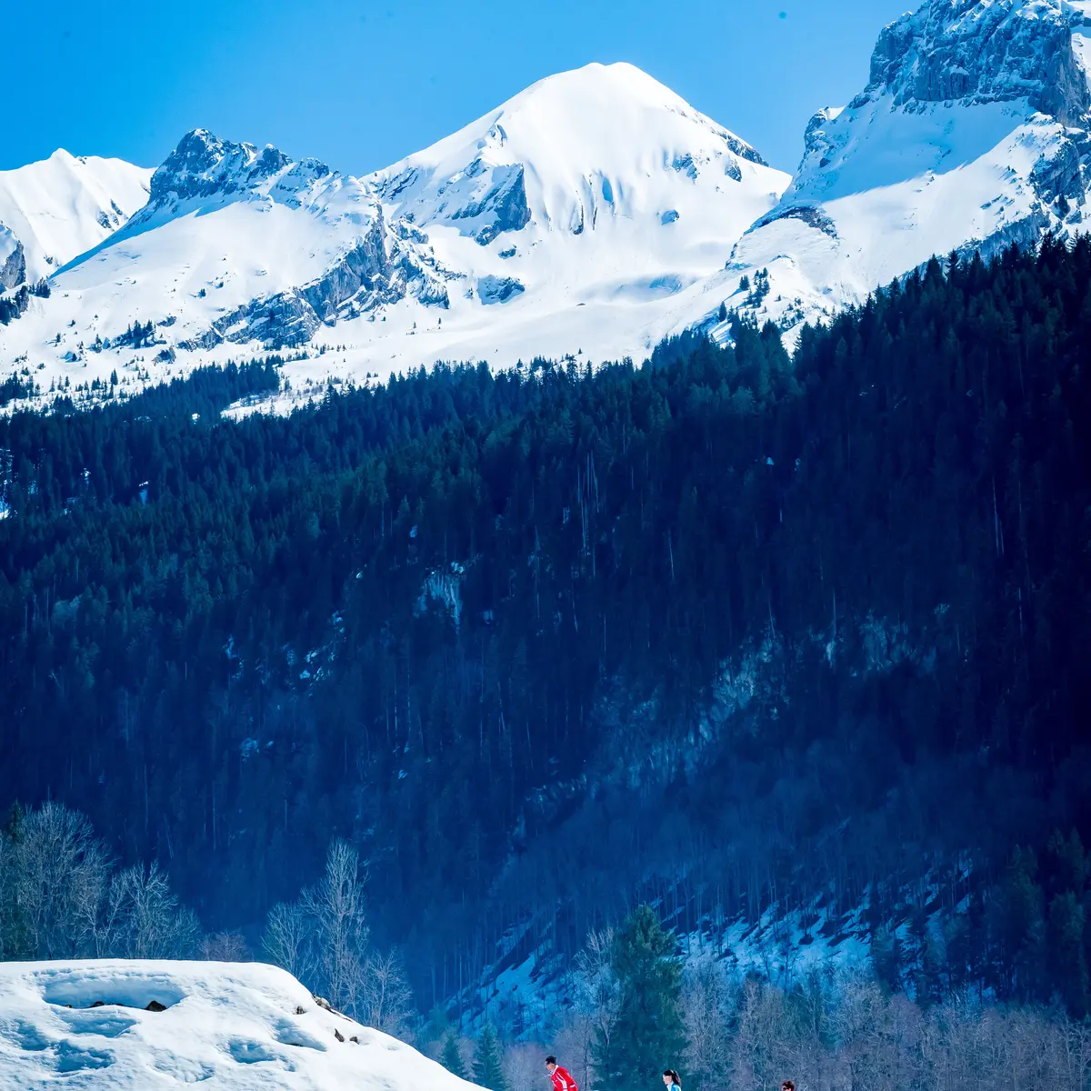 Biathlon stage avec moniteur ESF