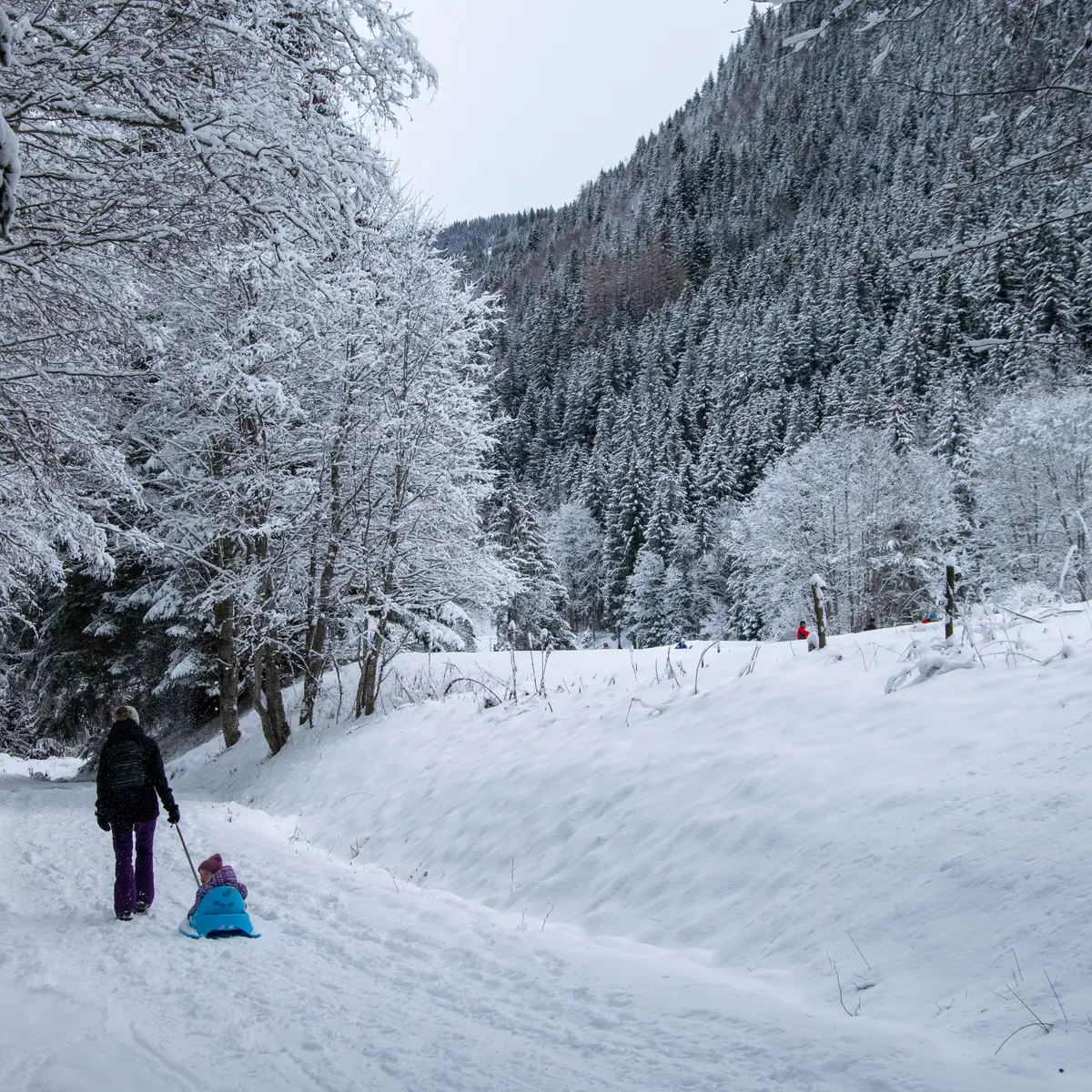 Le chemin du Praz