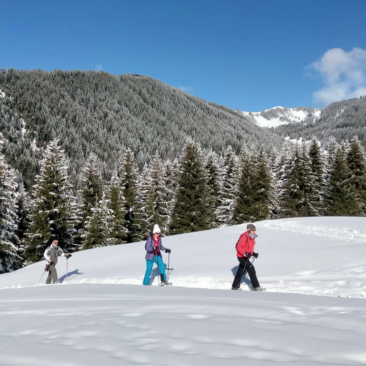Sneeuwschoenwandelen in de zon