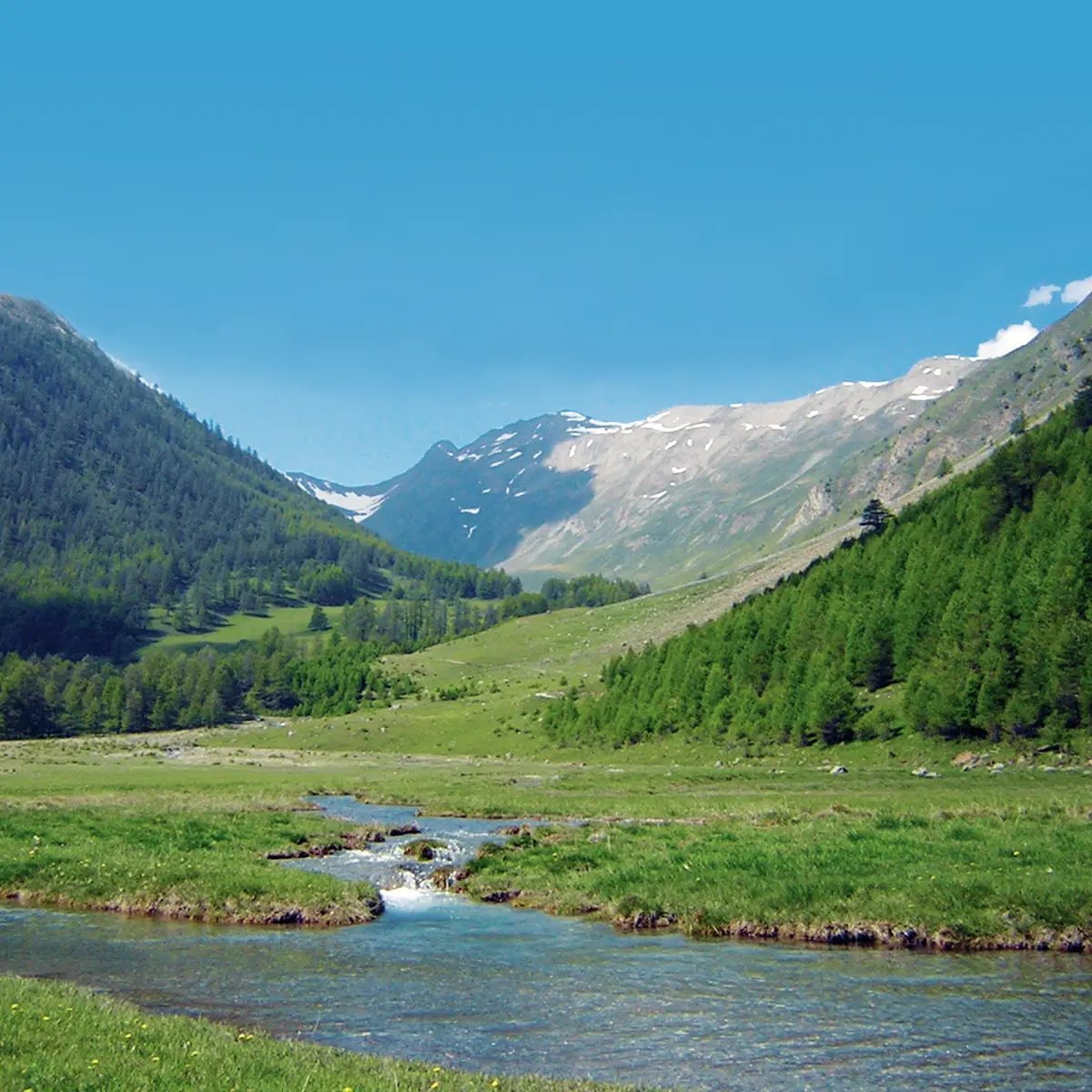 Petit Vallon - Aupillon_Les Orres