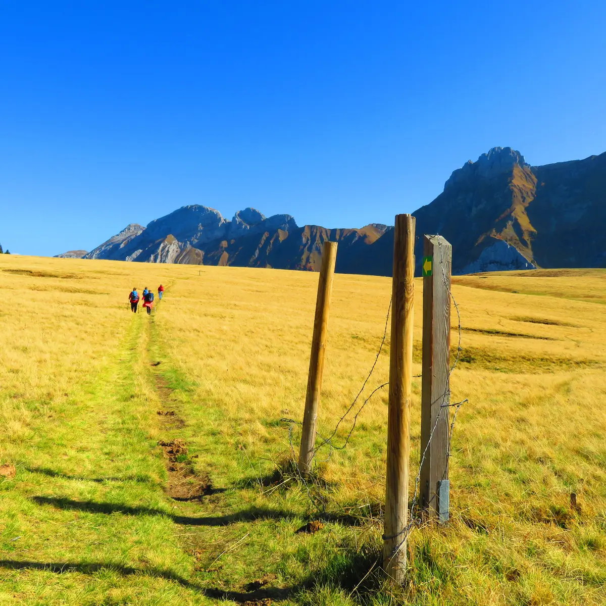 Sentier
