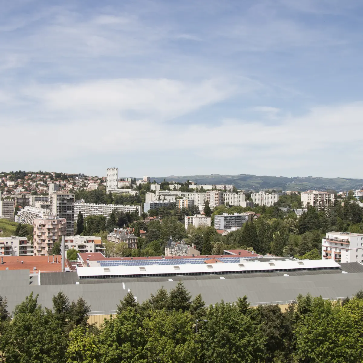 Vue