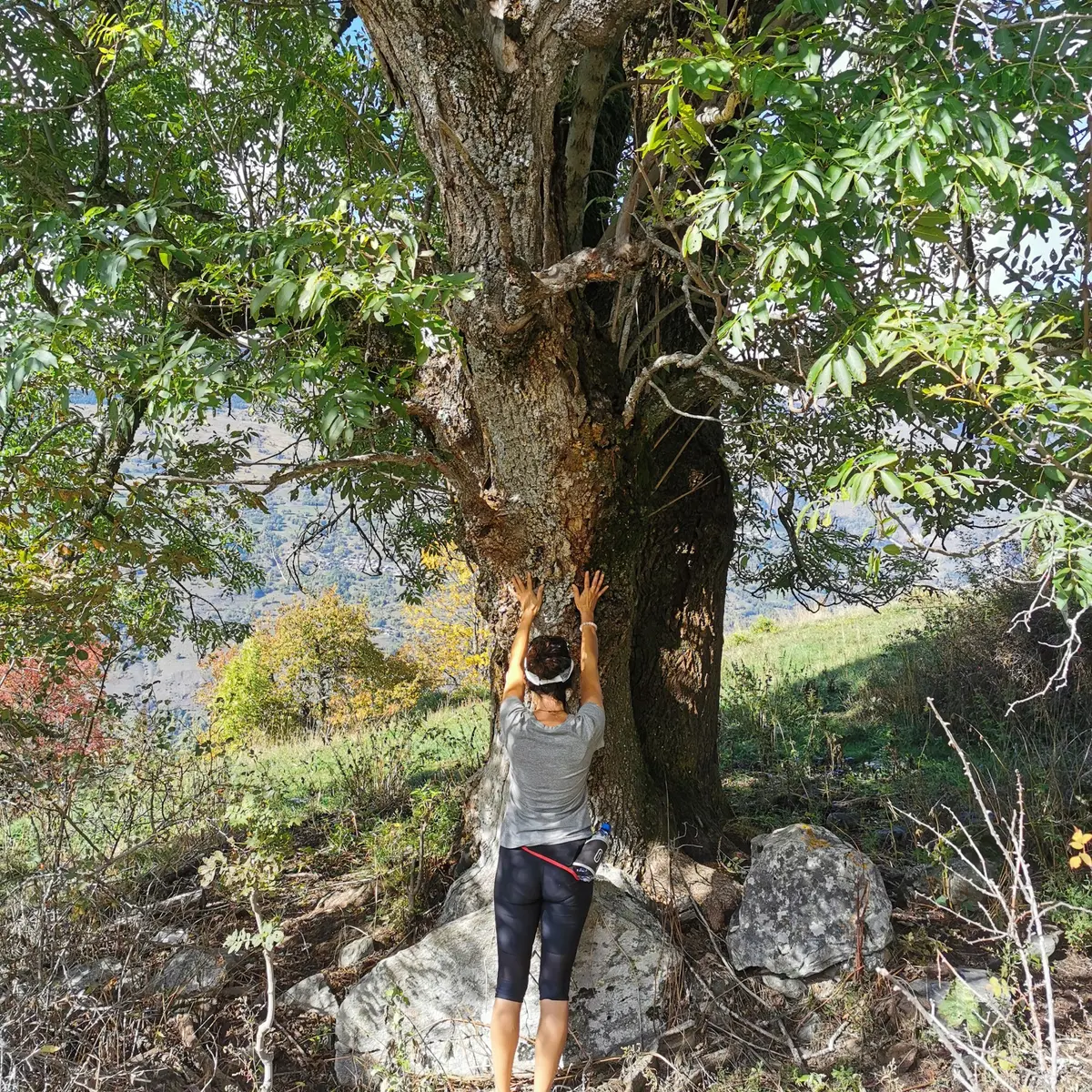 Bain de forêt été