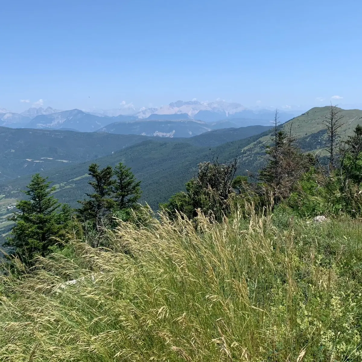 Vue sur la Barre des Écrins et la crête de l'Aup à l'est