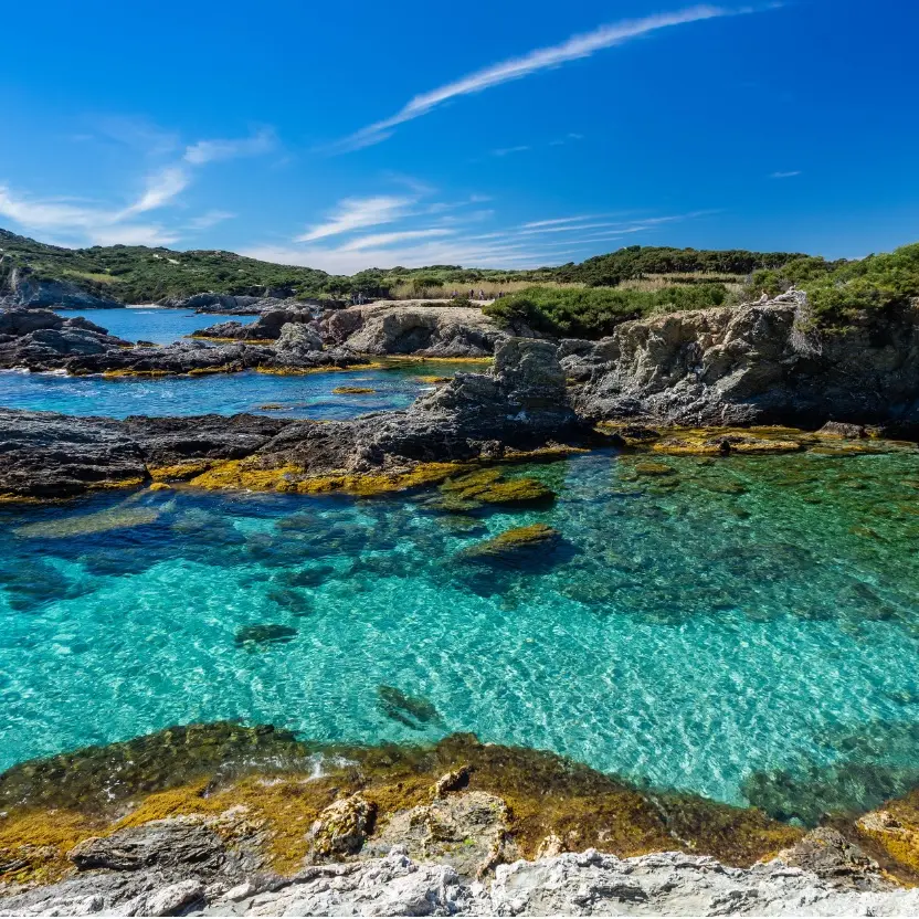 Paysage