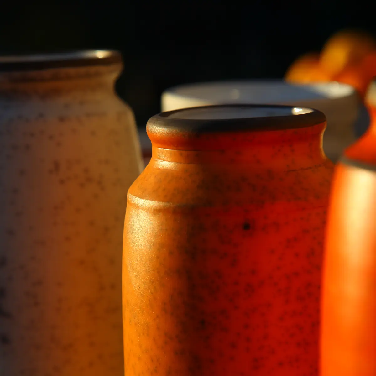 Si terre m'était contée