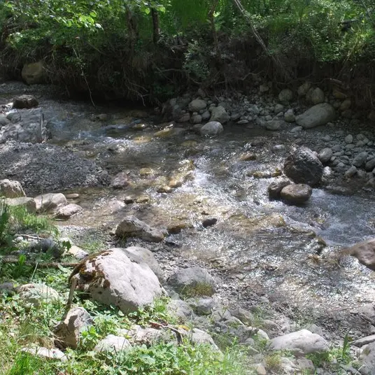La source de la Bastié