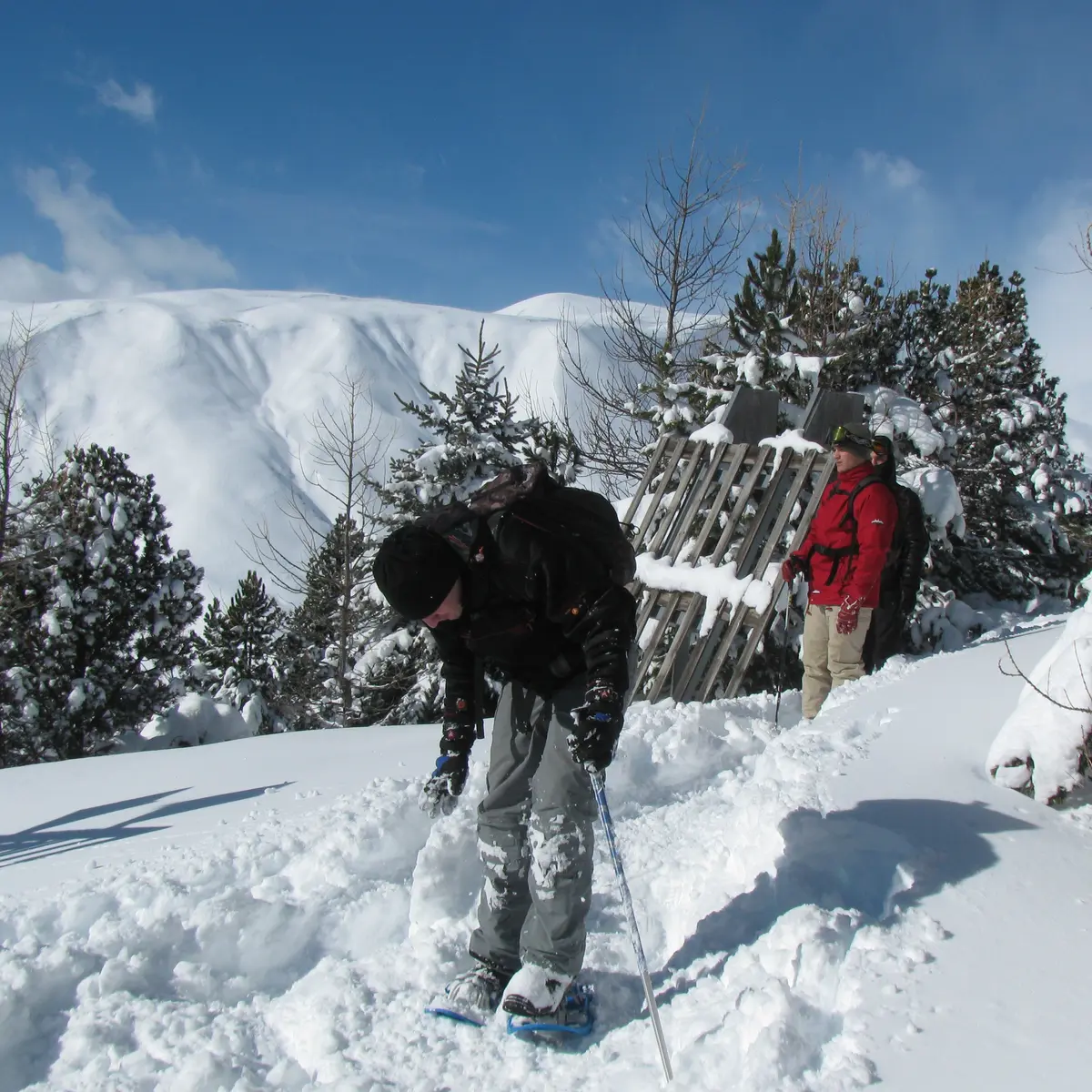 raquettes évasion au Pays de La Meije