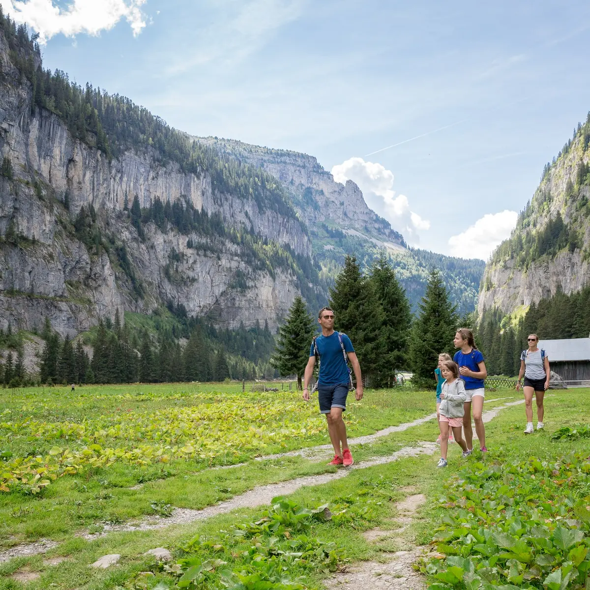 Le sentier de randonnée du lac de Flaine