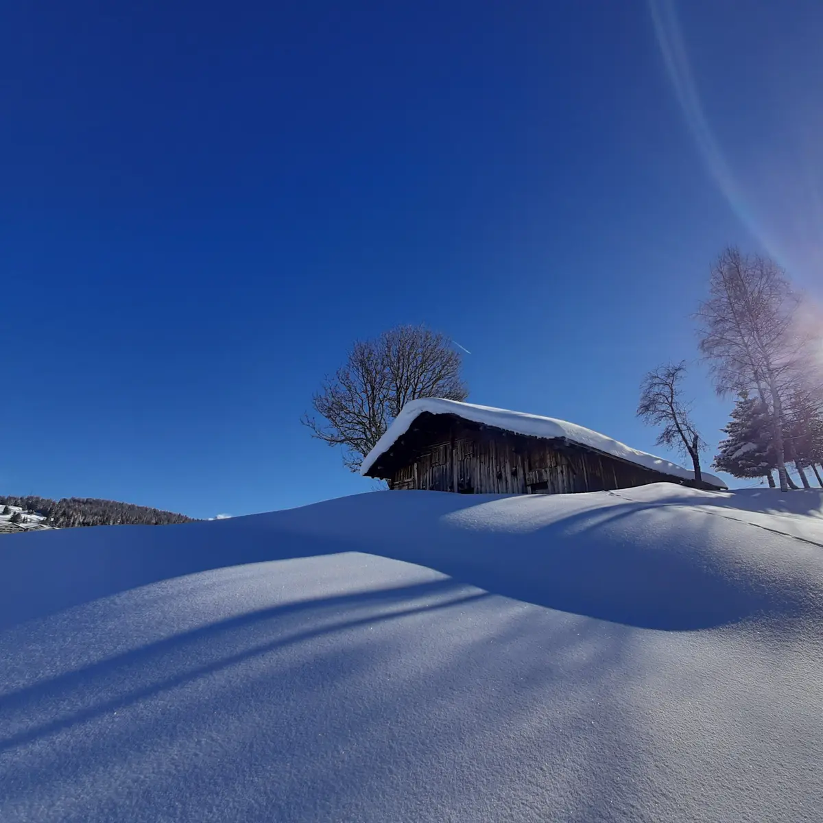 Découverte des chalets en raquettes