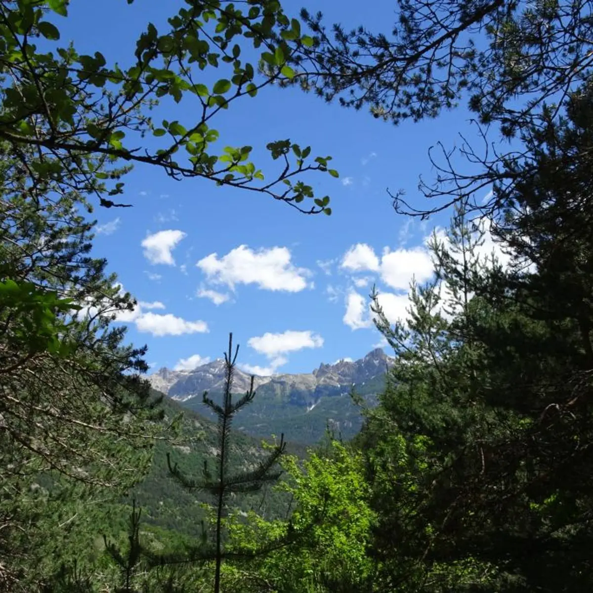 Sur le sentier du Cloutas