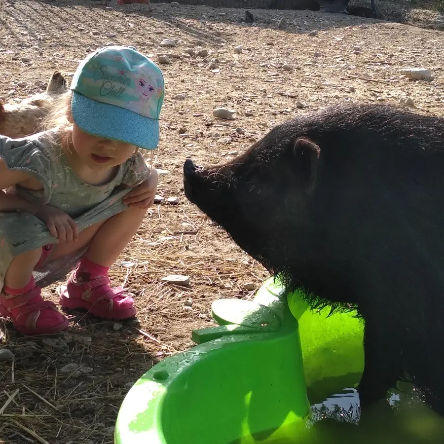 Recontre avec les animaux de la ferme