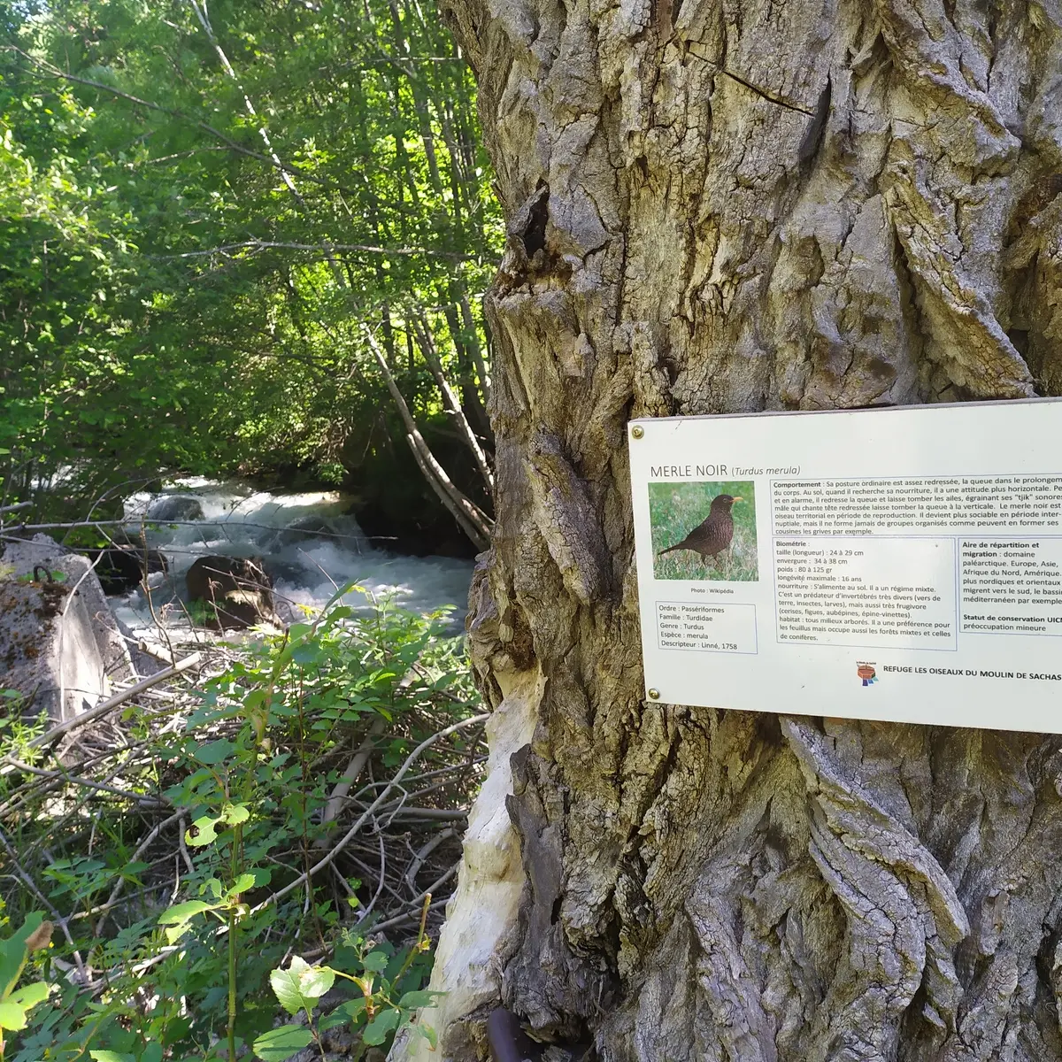 Panneau au bord du torrent des Ayes
