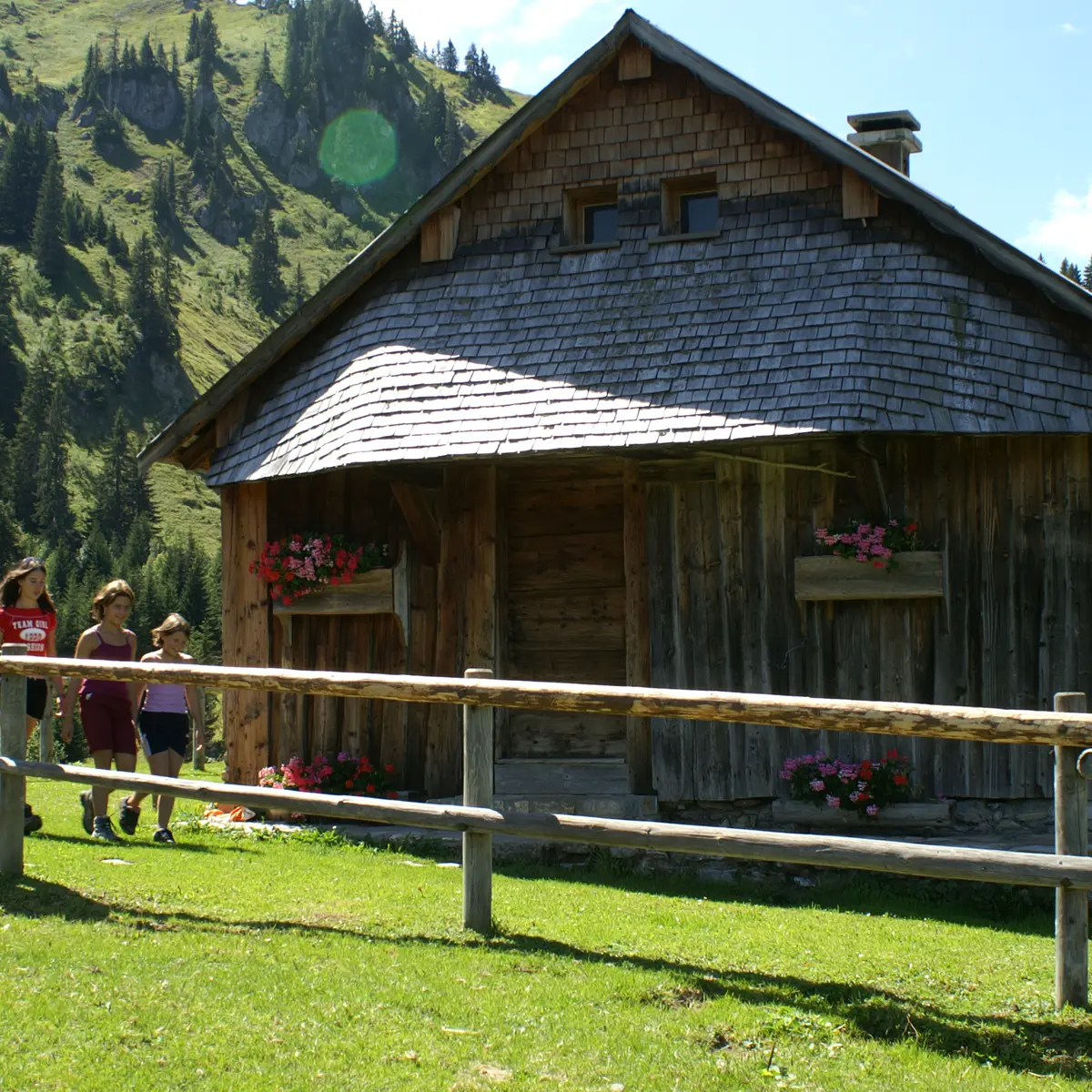 Alpage de Pététoz