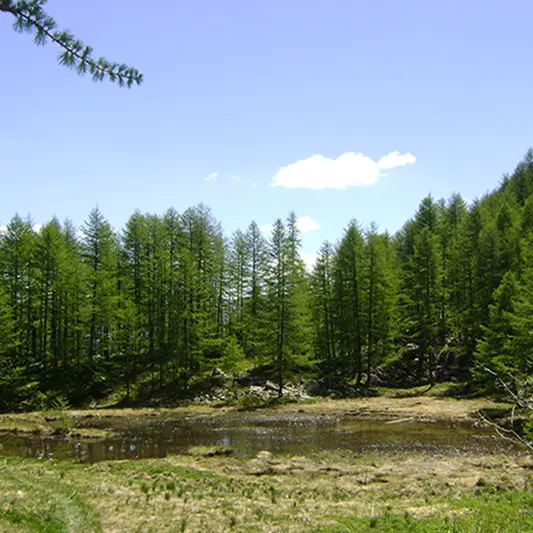 traversée la Foux le Seignus