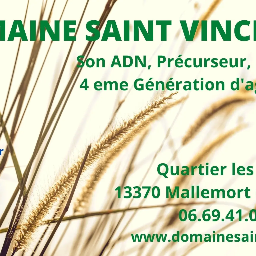 Domaine Saint Vincent