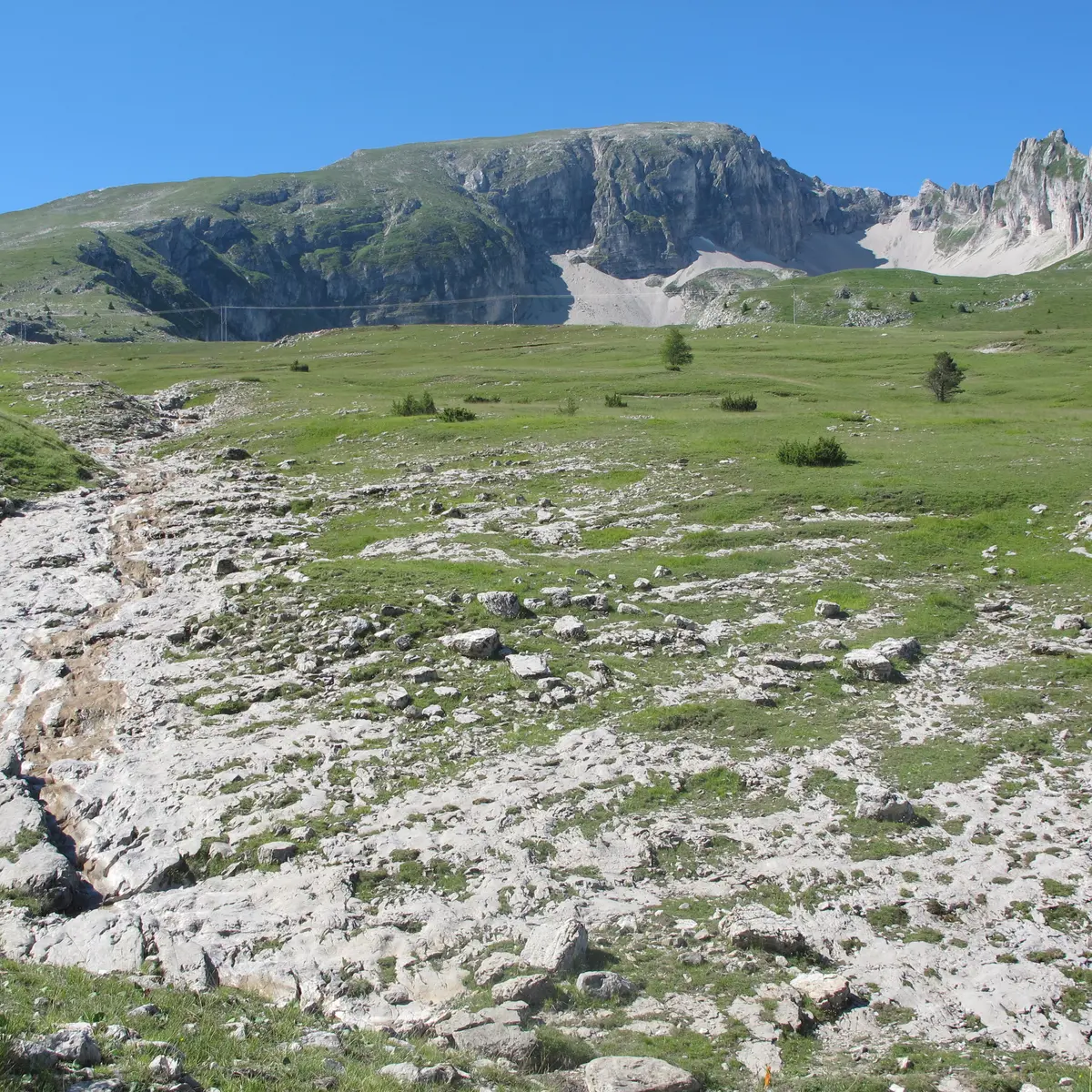 Sur les Alpages du Col de Rabou, Dévoluy, Hautes-Alpes