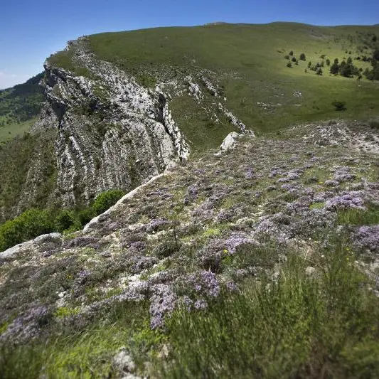 Environs de Digne - © M. Cristofani / Coeurs de nature / SIPA