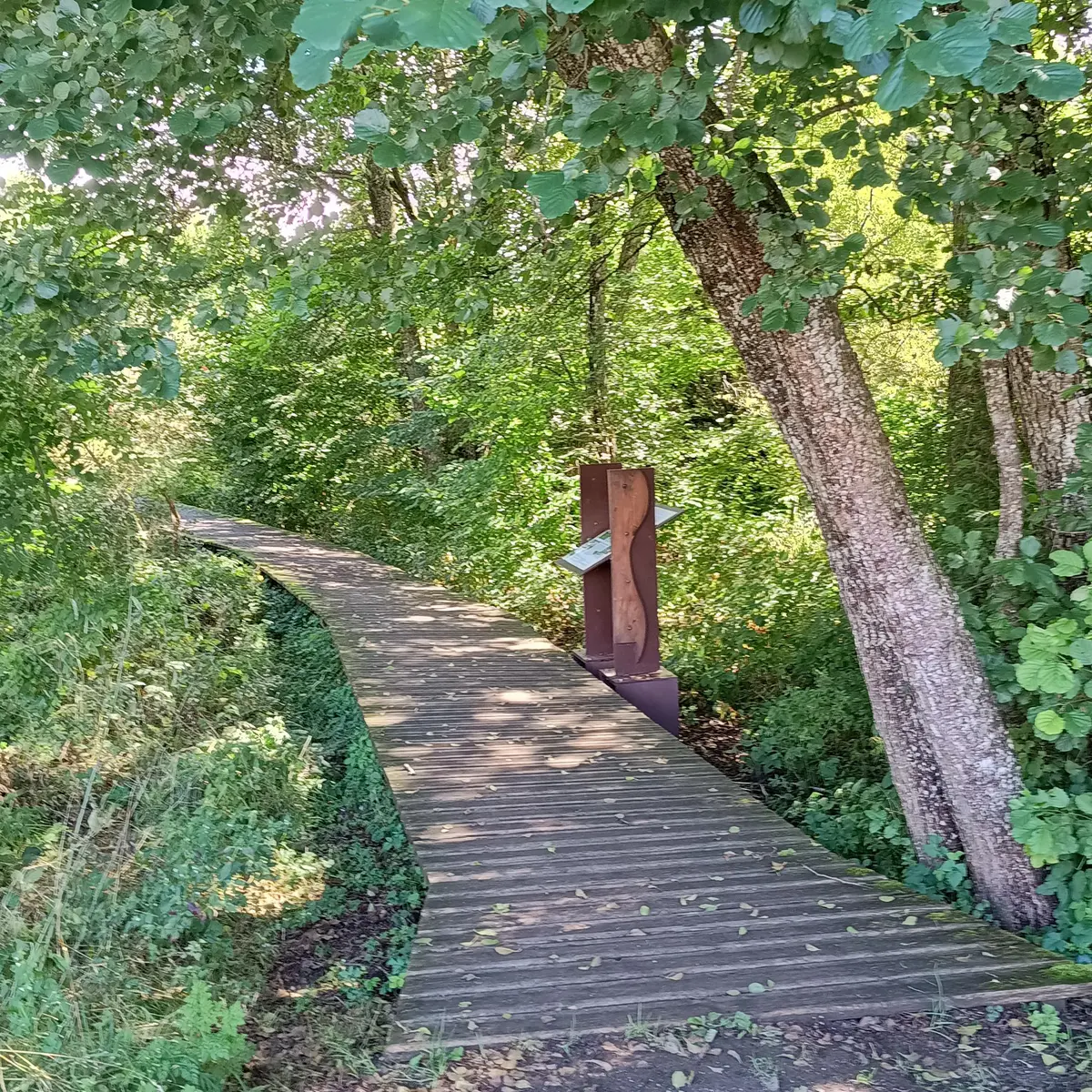 Cheminement au marais du Marvant