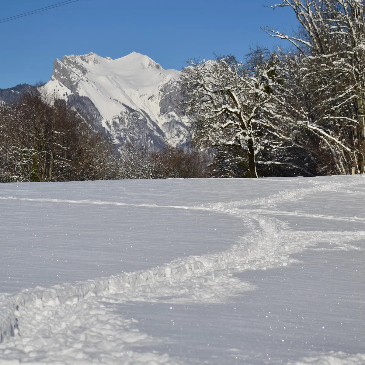 Balade d'hiver en Val de Tamié_Faverges-Seythenex