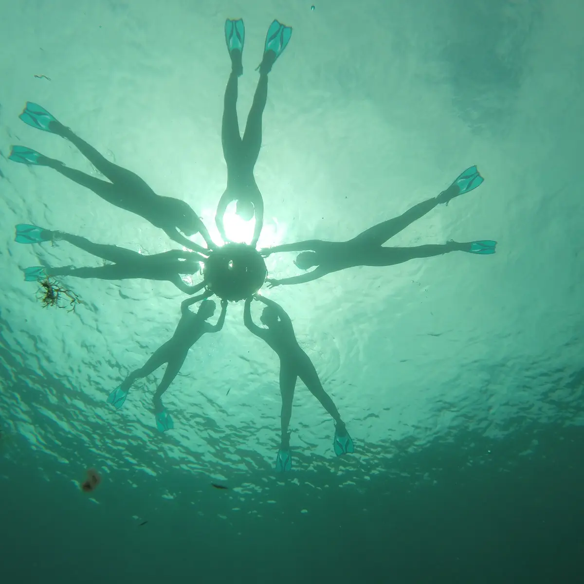 Atelier Bleu - CPIE Côte Provençale