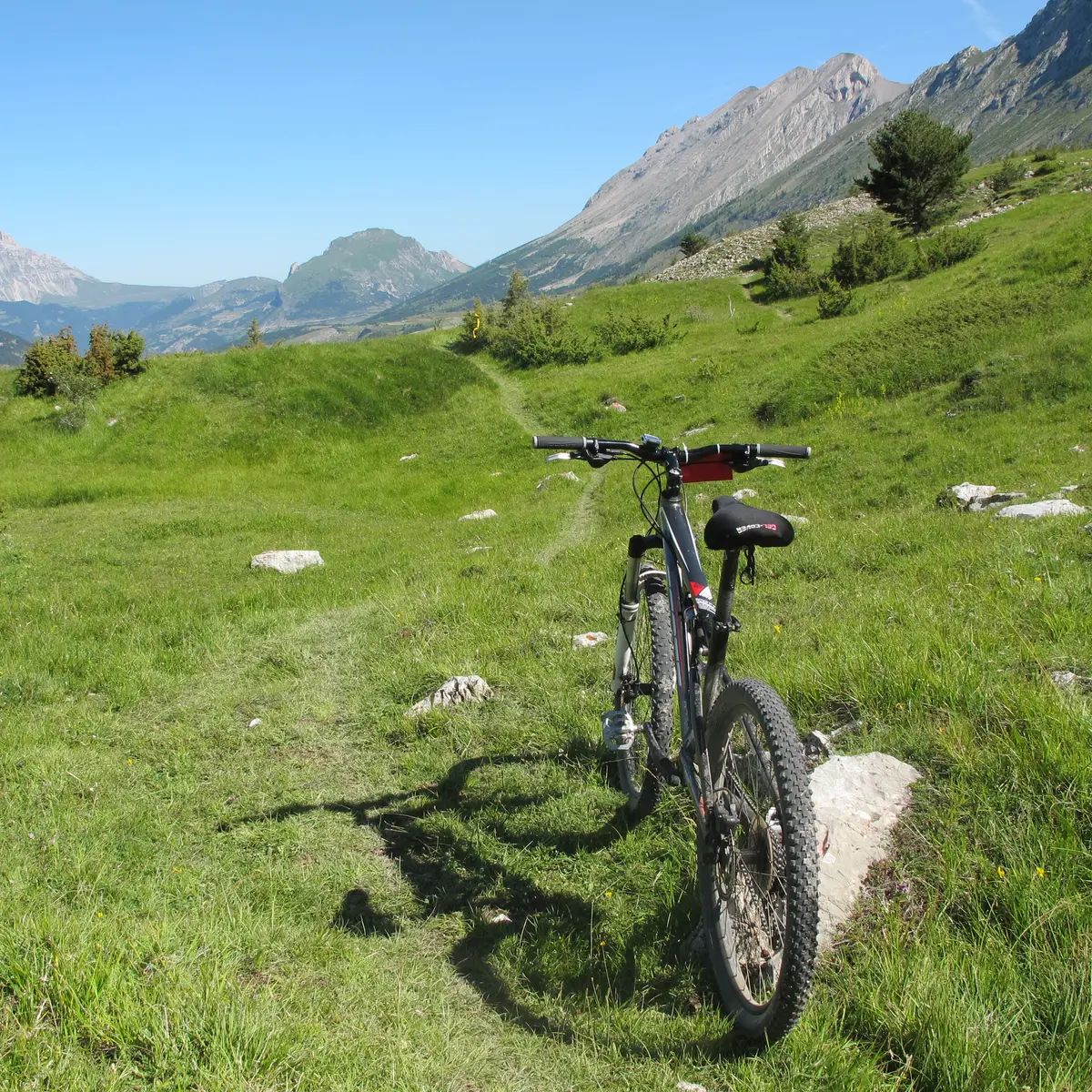 Sur les Alpages du Col de Rabou, Dévoluy, Hautes-Alpes