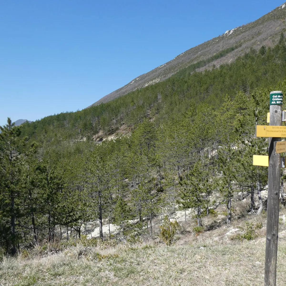 Forêt domaniale de la Méouge