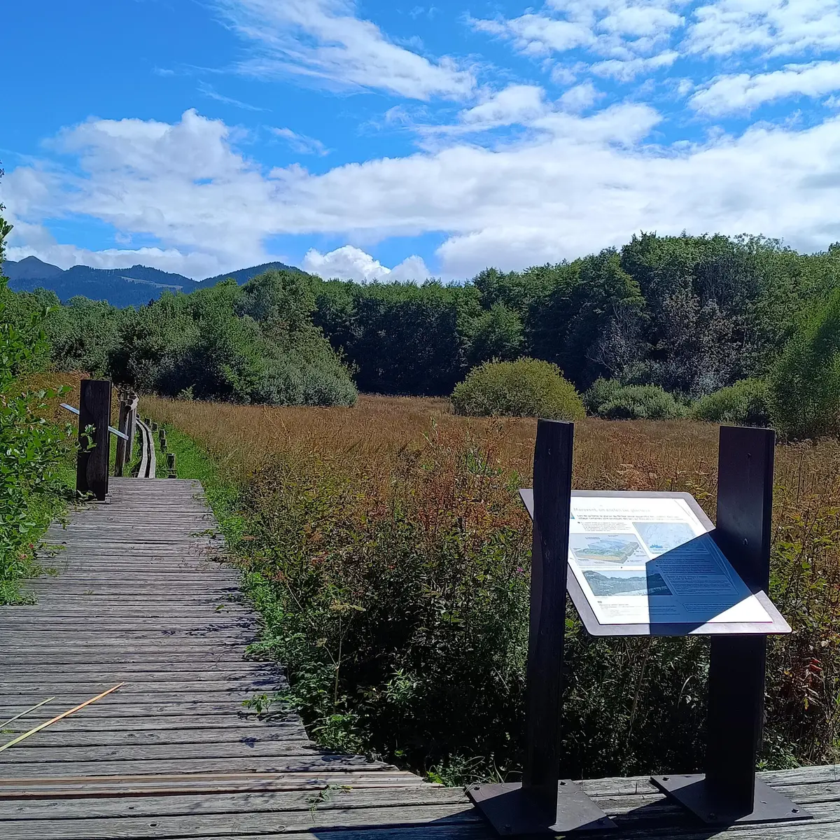 Sentier d'interprétation au marais du Maravant