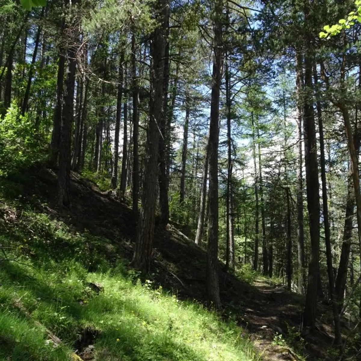 Le sentier du Cloutas