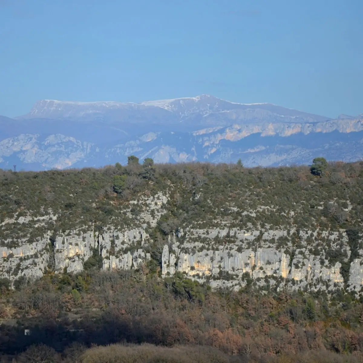 Vue sur les falaises