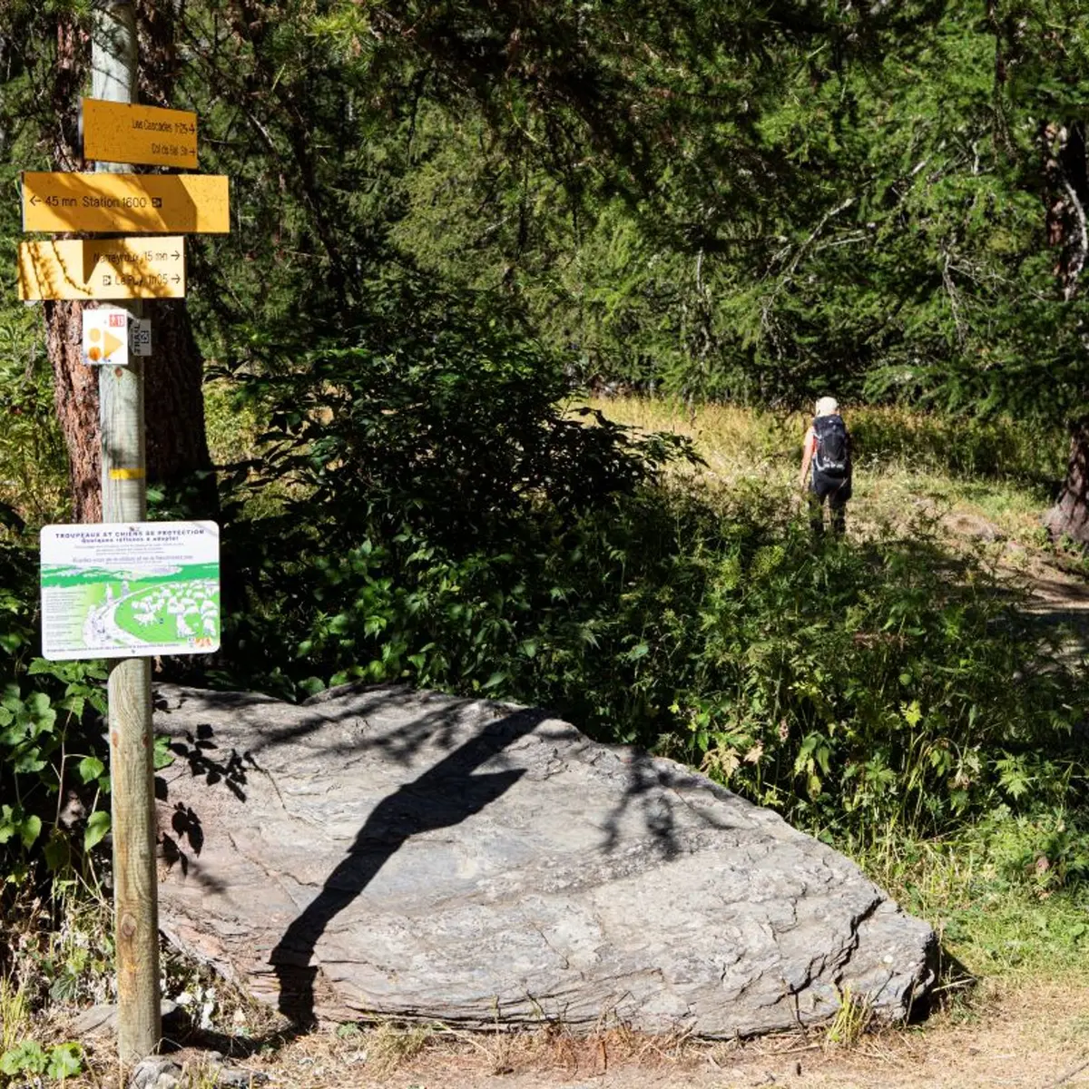 Vers la cabane des grands plans