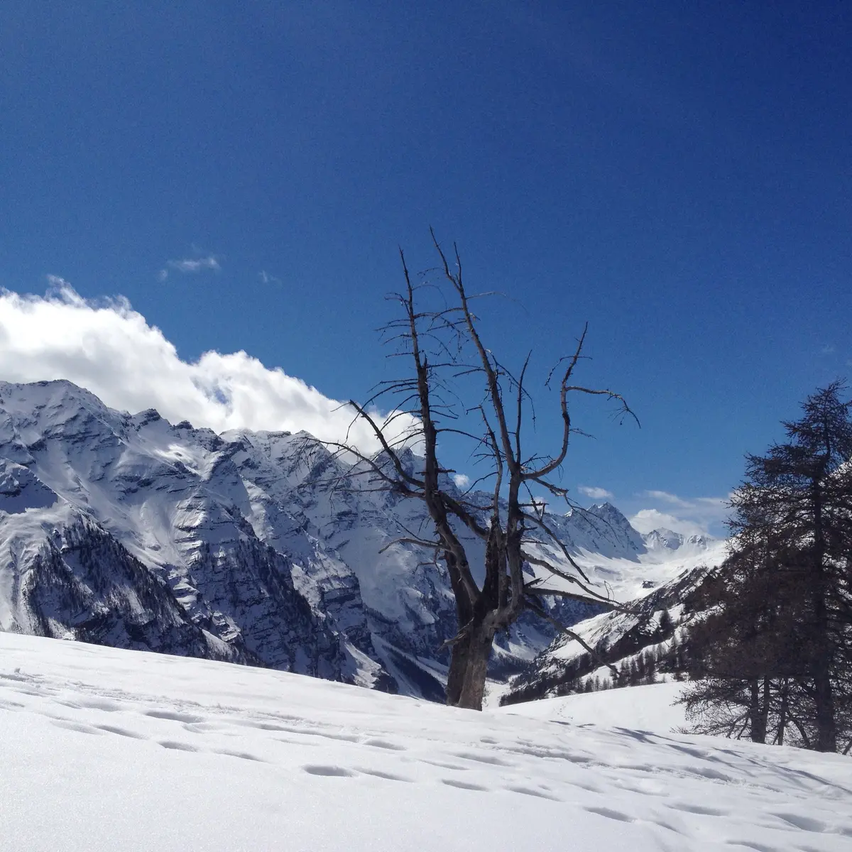 Vallon du Fournel