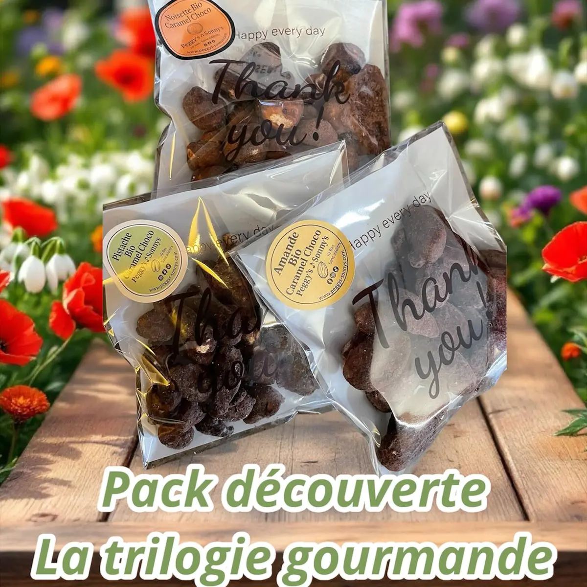 Pack découverte