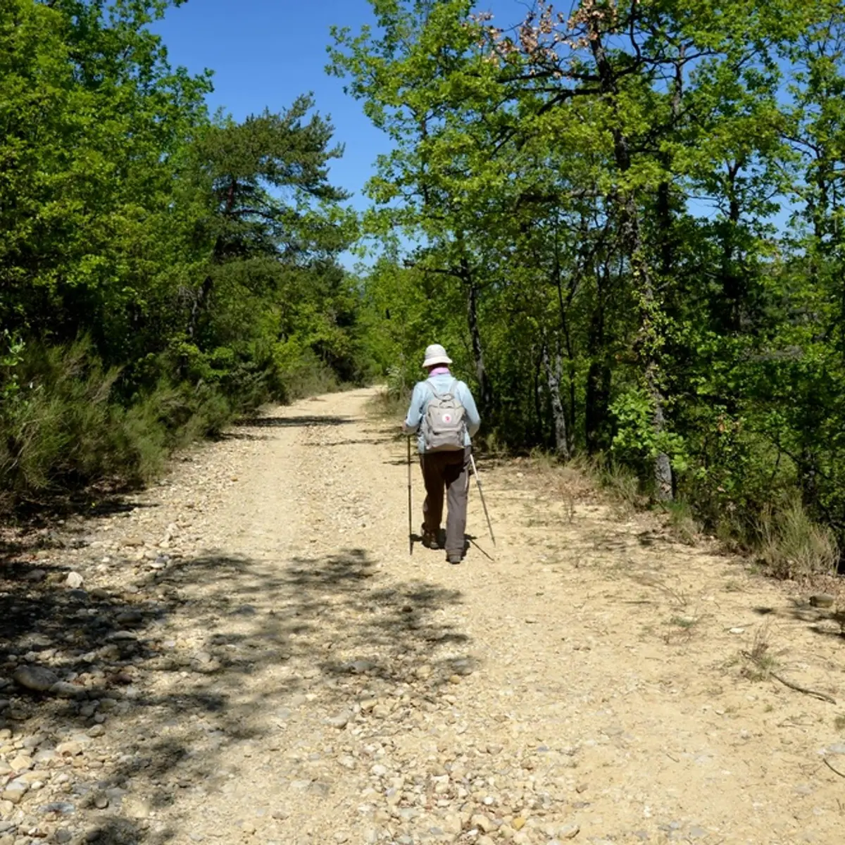 Promenade buccolique