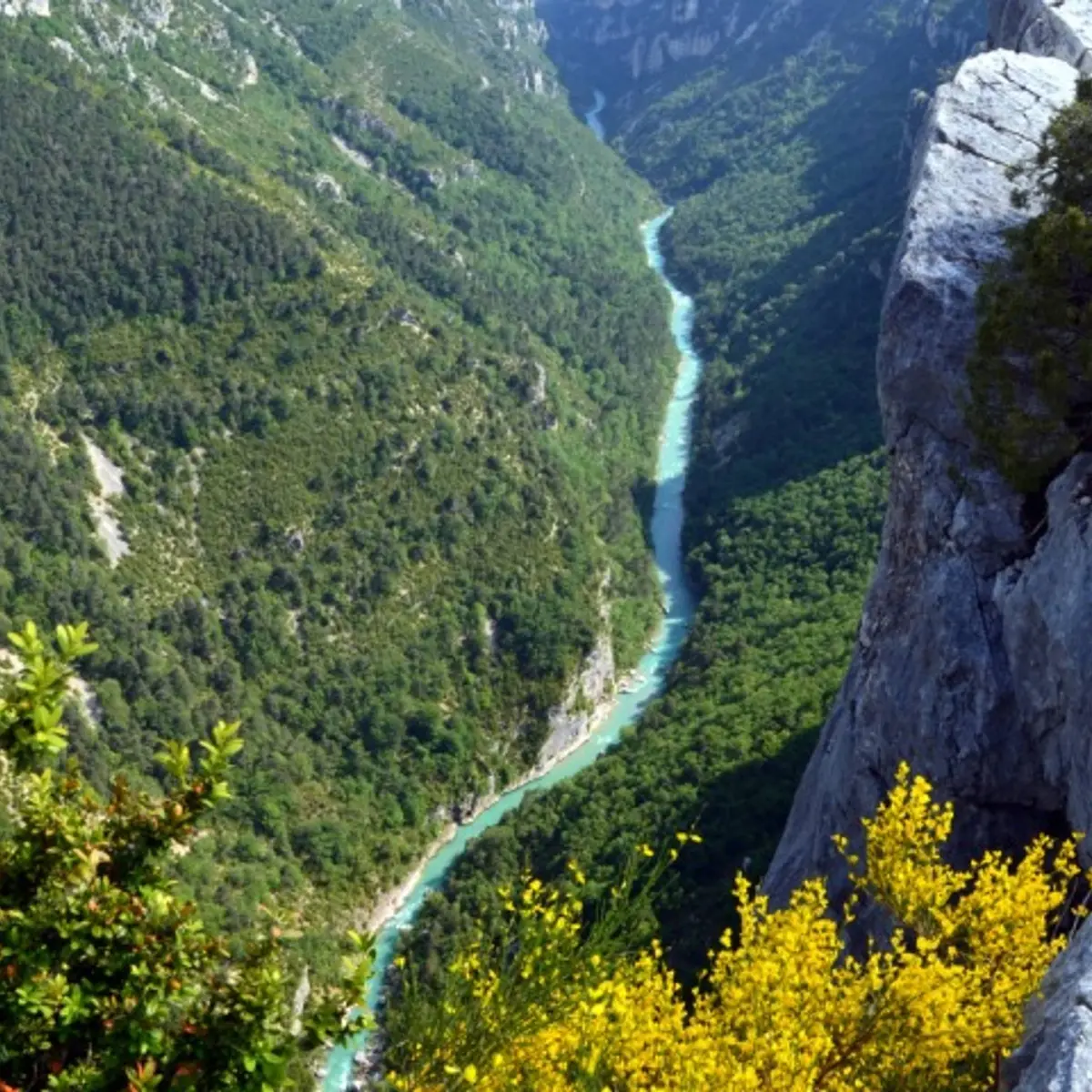 Grand  canyon du Verdon