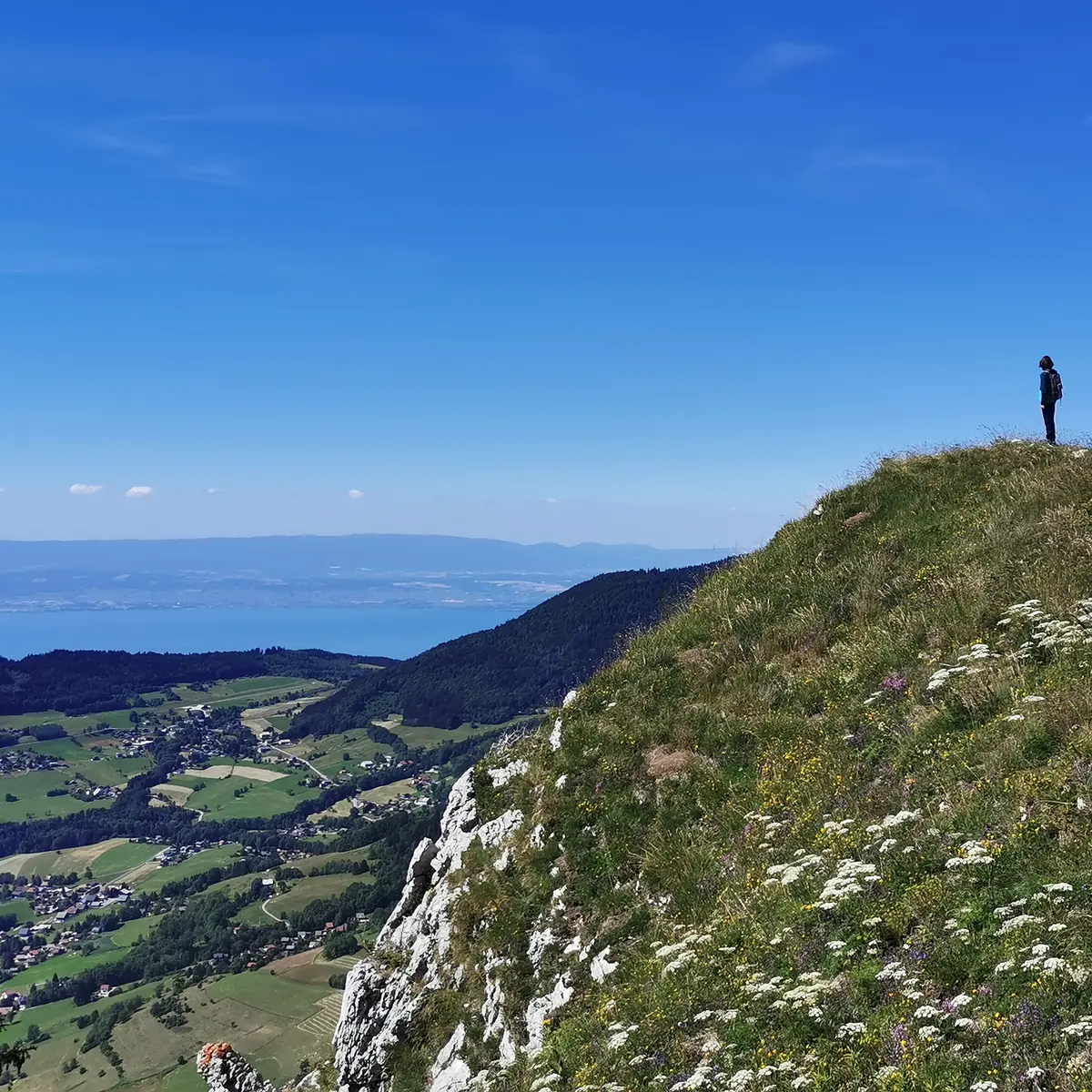 Crêtes d'Hirmentaz vue Lac Léman