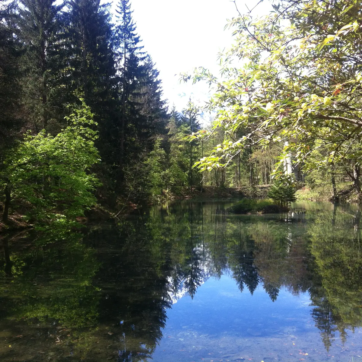 Escalade aux Gaillands