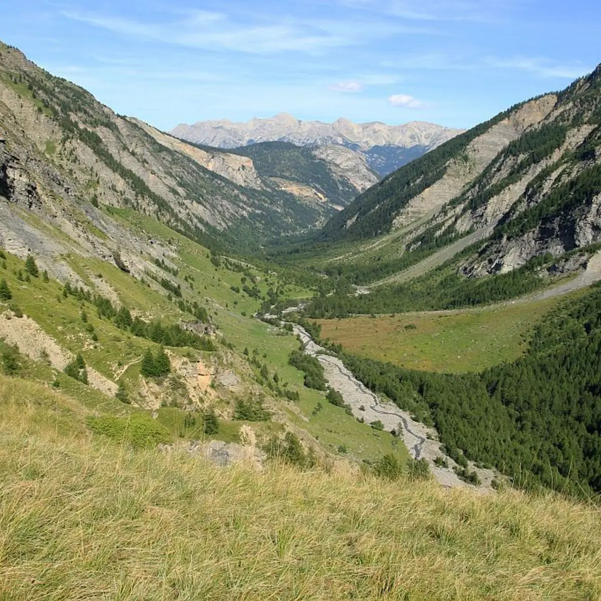 Vallon du Fournel depuis Serre Daurelle