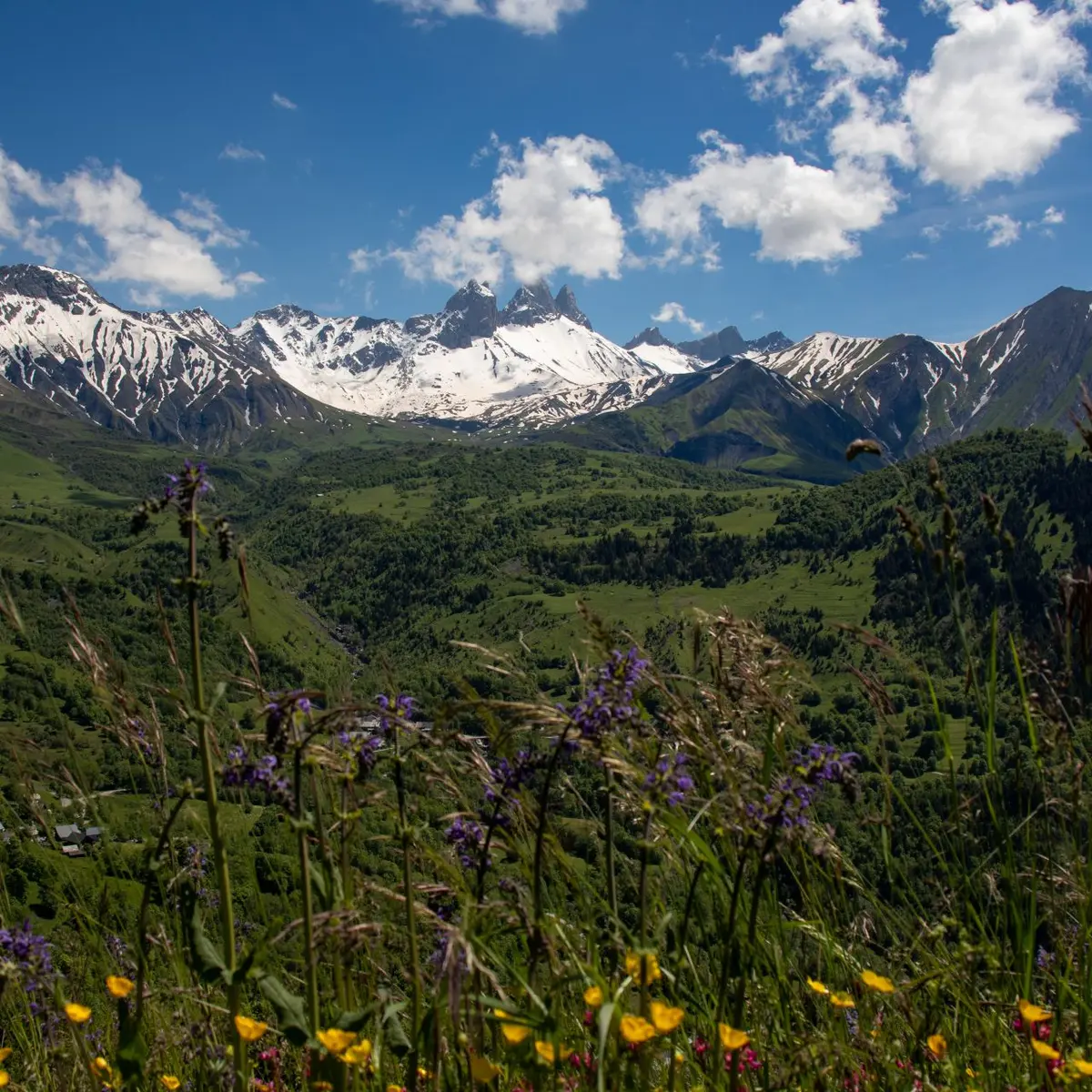 Paysage