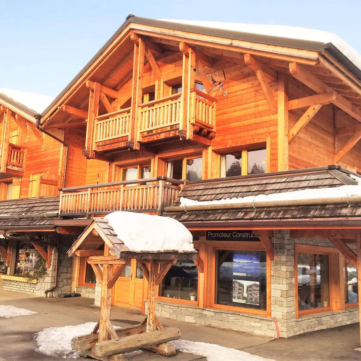 Grillet-daguet-Bleuet