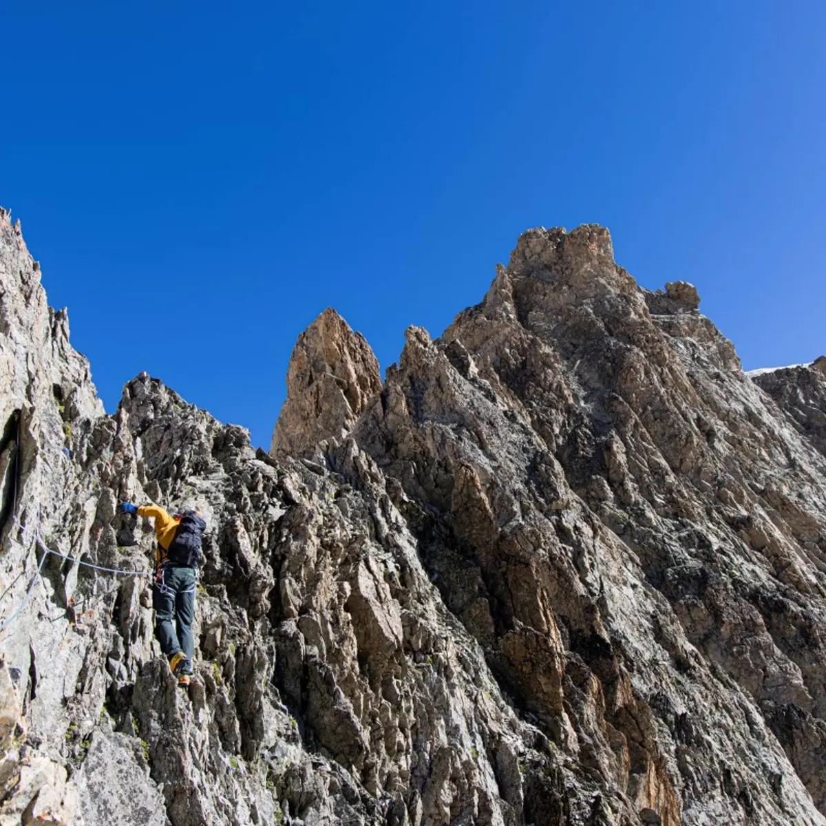 Arête Sud du Pic du Glacier Blanc