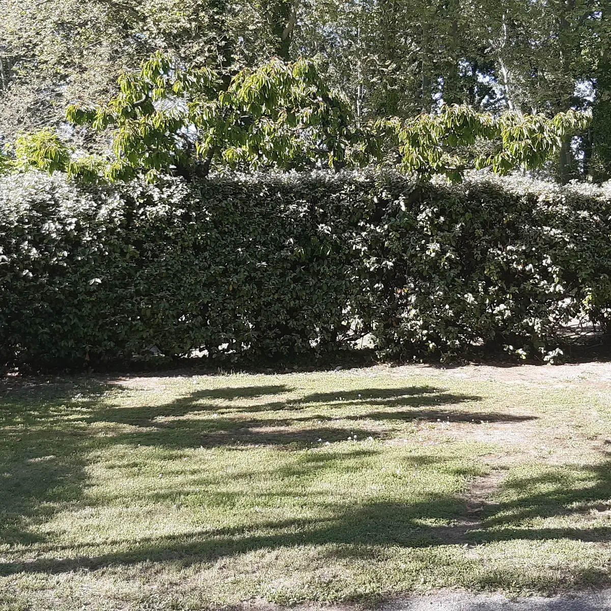 Camping municipal Coucourelle