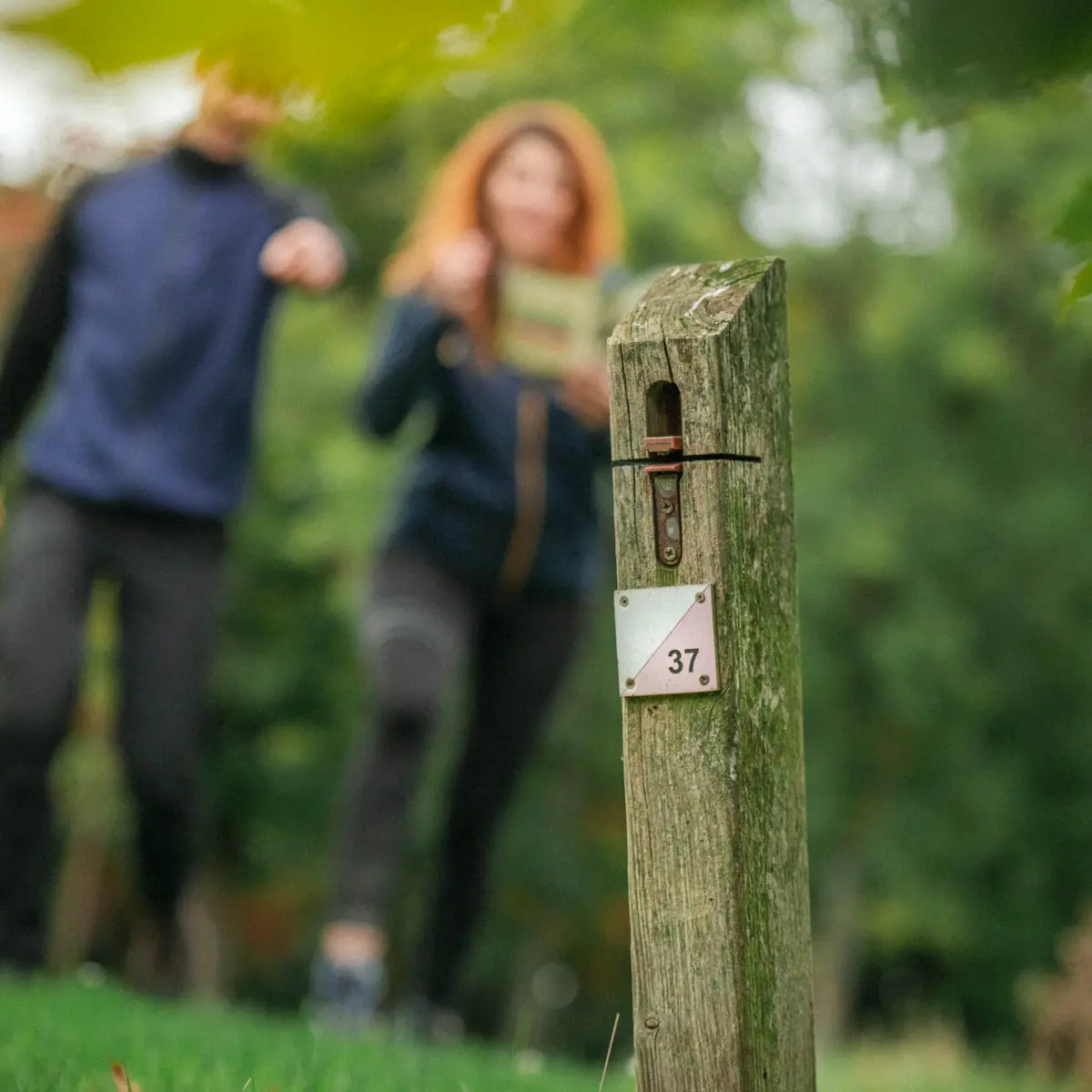 Course d'orientation