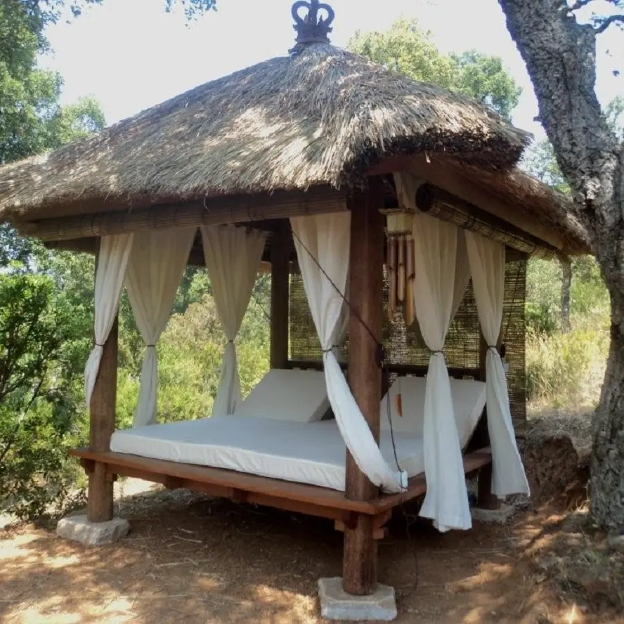 Jungle spirit Sanary