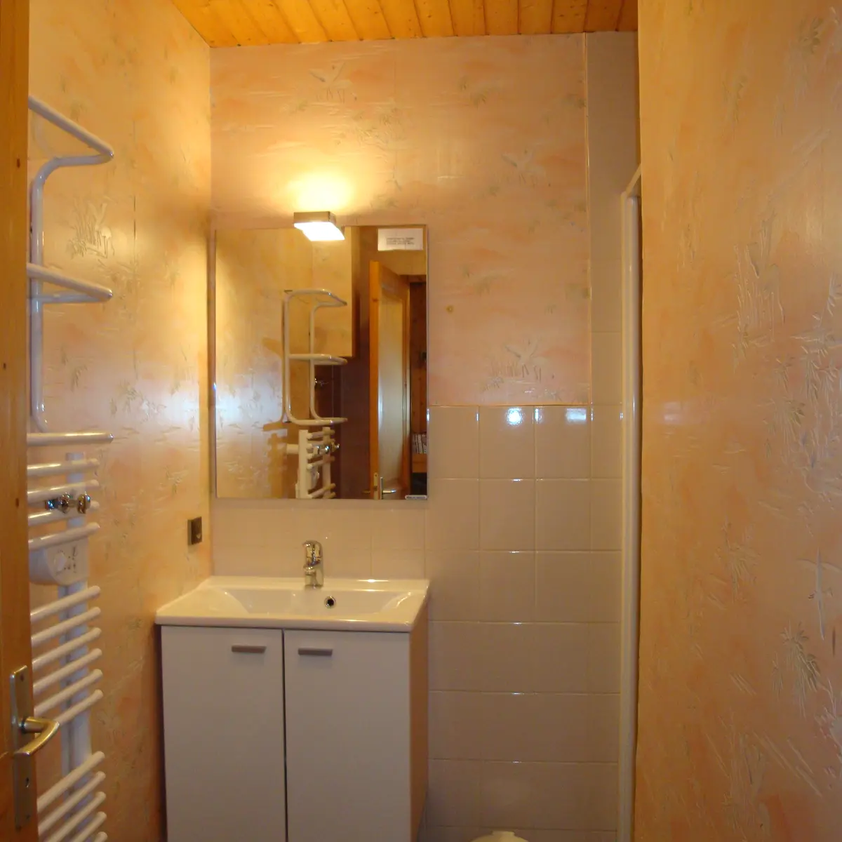 Salle de bain/Bathroom-Pont de Suize n°1-Le Grand-Bornand