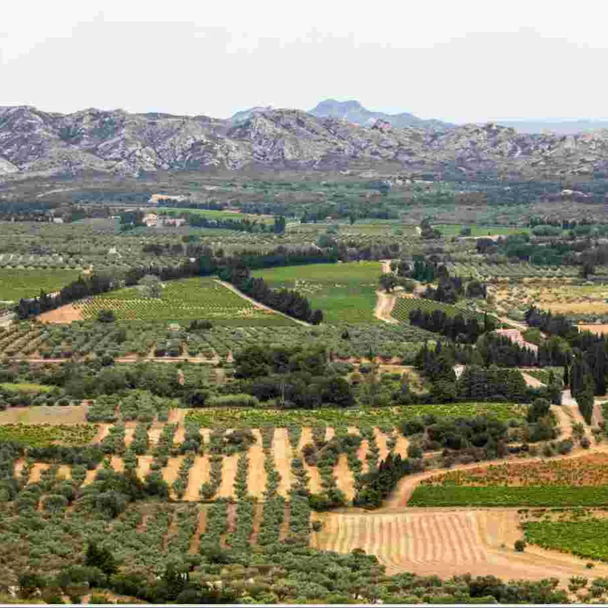 Vue sur la plaine depuis les Baux-de-Provence