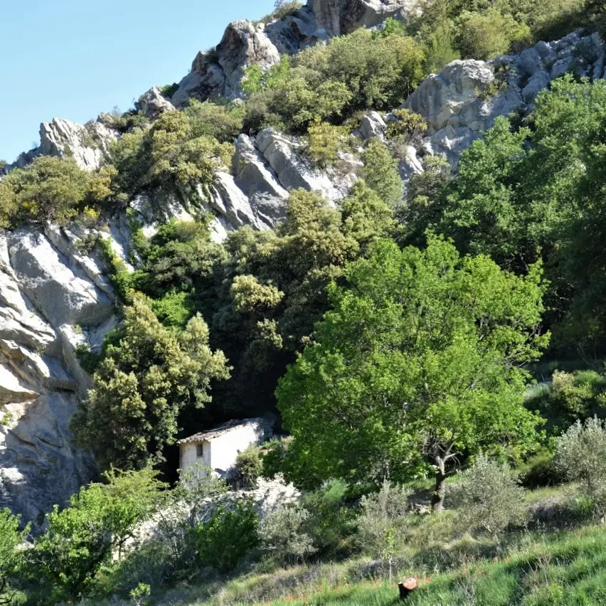 Vallon des Gipières