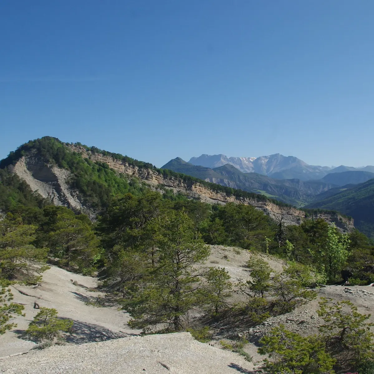 Les marnes sous la crête de Tré Maroua