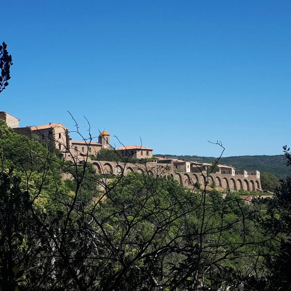 Vue de la chartreuse de côté à travers l'écrin de végétation